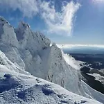 Au Coeur Du Centre *