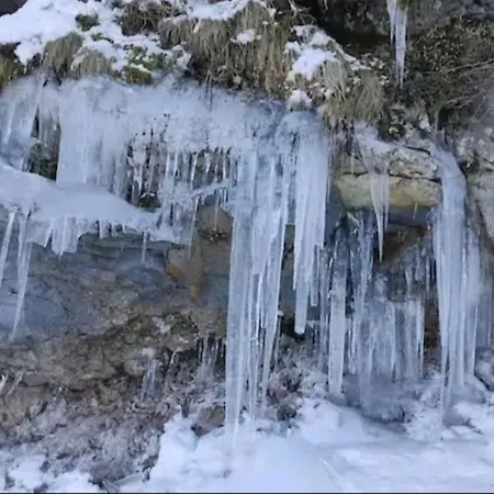 Au Coeur Du Centre * Le Mont-Dore